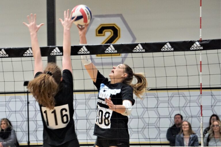 Wisconsin High School Volleyball Coverage Prep Dig