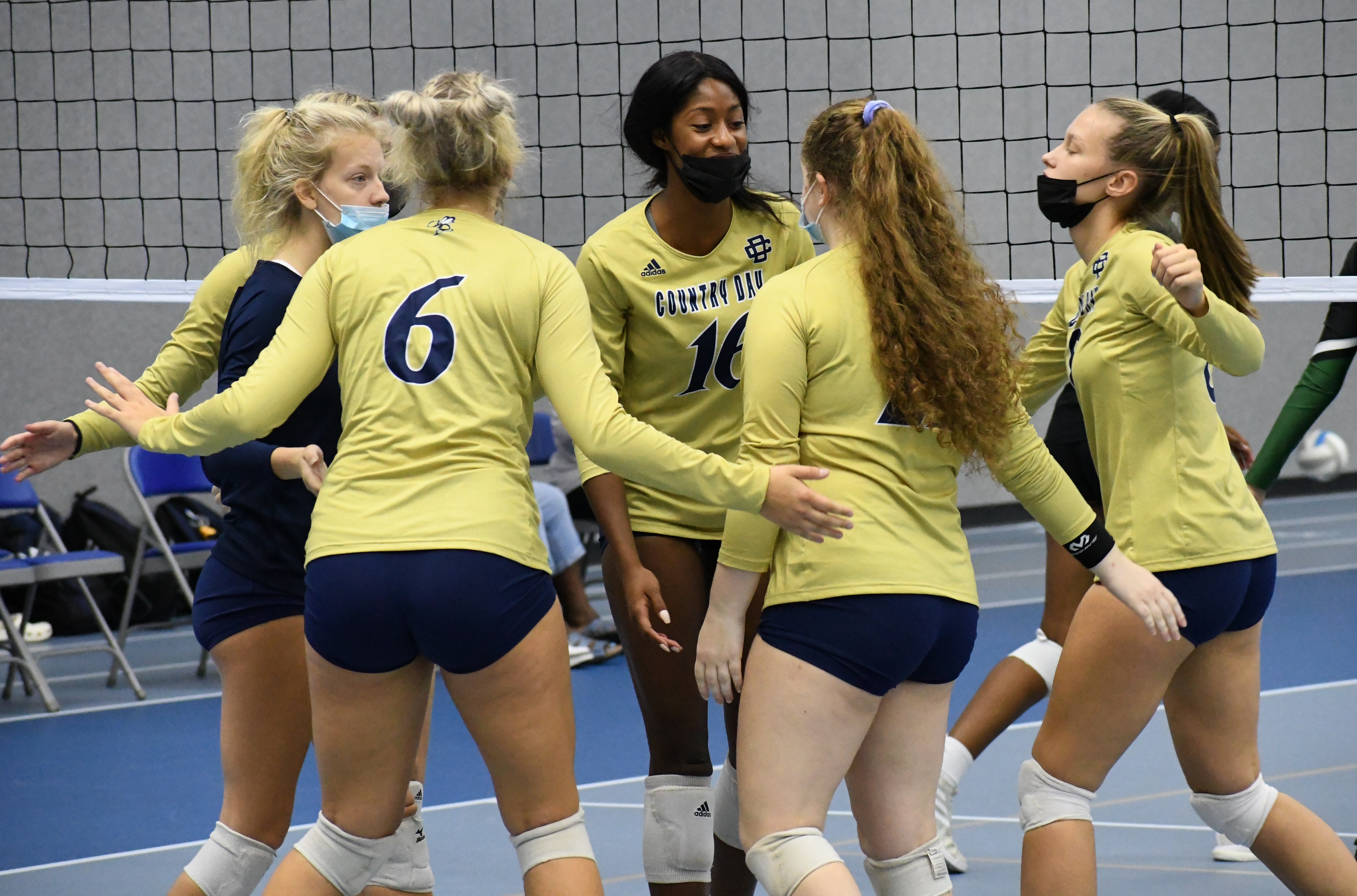 Division 2 quarterfinals breakdown pic