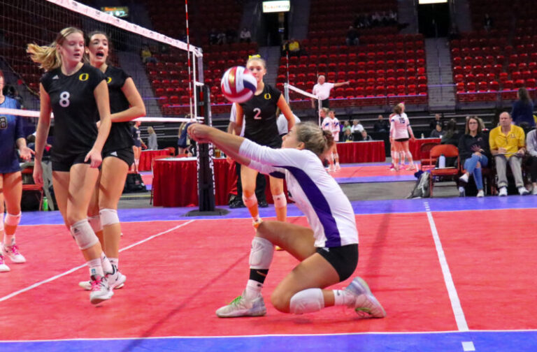 Top Performers at the WIAA State Championships: Liberos