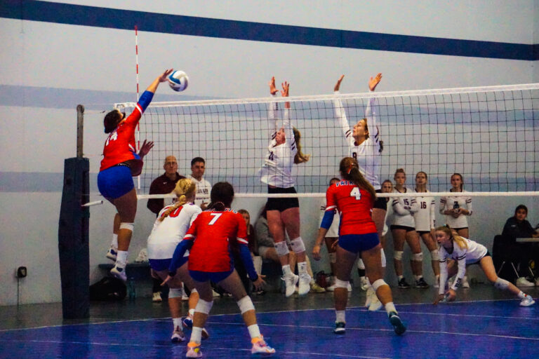 Minnesota High School Volleyball Coverage Prep Dig