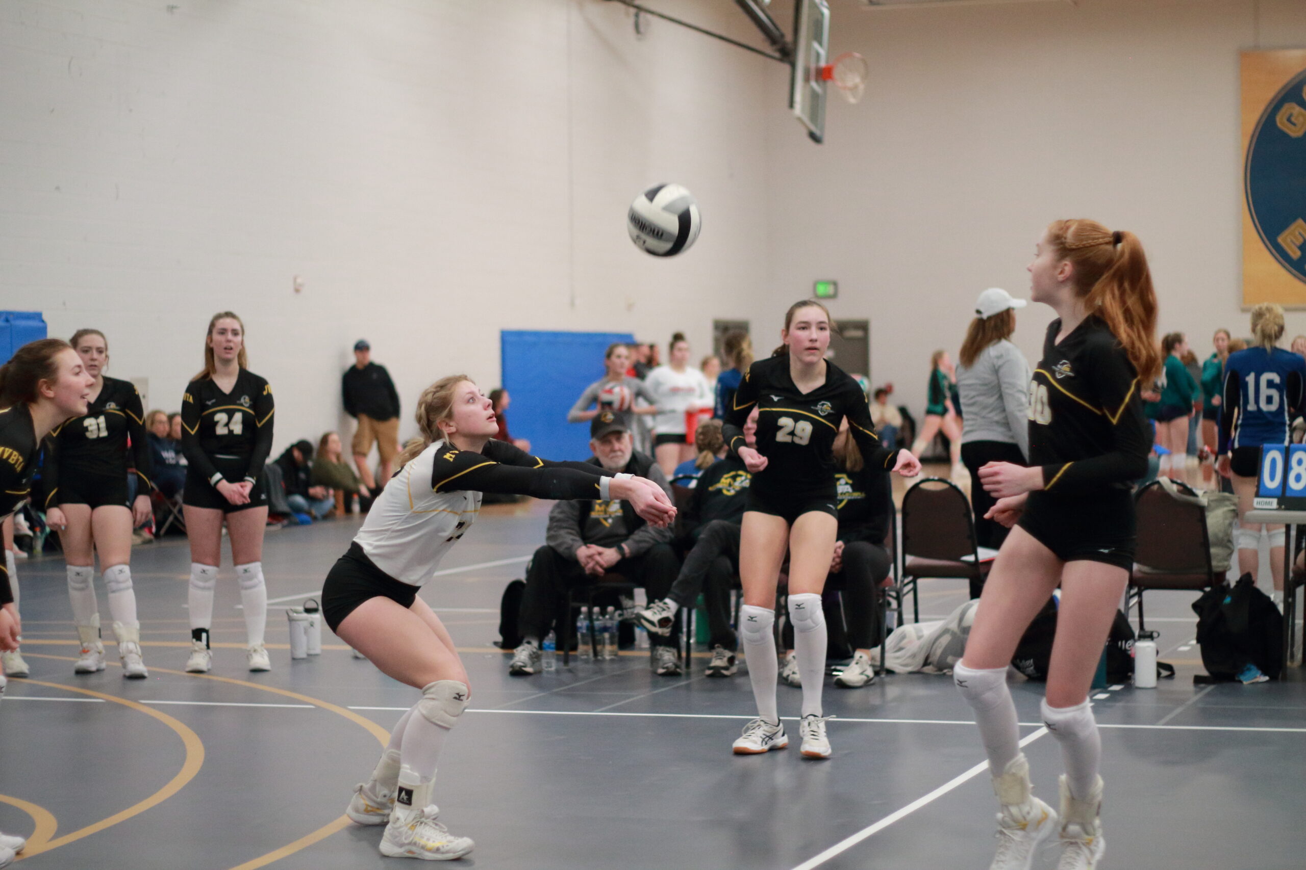 Allison Harryman Prep Dig
