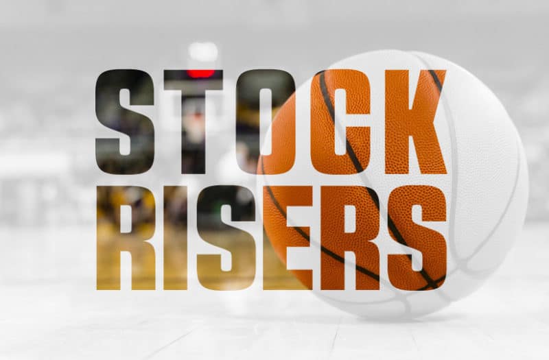 Summer Stockrisers: 2024 Guards