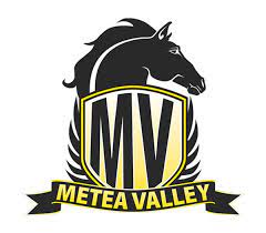 Metea Valley